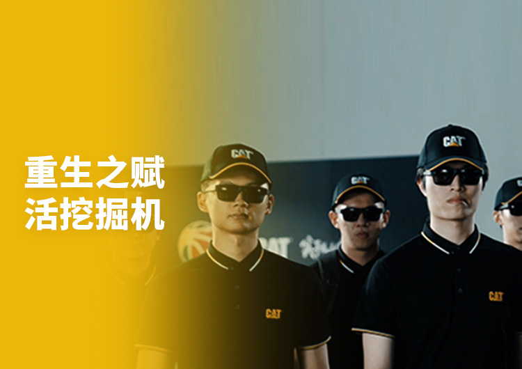 重生之賦活挖掘機